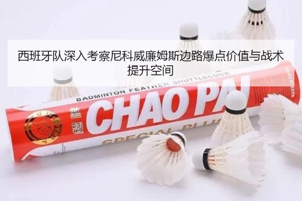 西班牙队深入考察尼科威廉姆斯边路爆点价值与战术提升空间