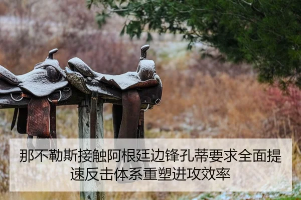 那不勒斯接触阿根廷边锋孔蒂要求全面提速反击体系重塑进攻效率